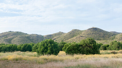Obraz premium Montes rocosos cubierto de arbusto y pino en parque natural del litoral mediterraneo