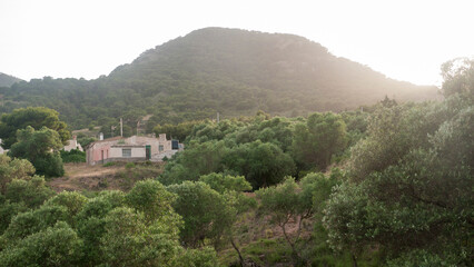 Fototapeta na wymiar Casa rural en parque natural del litoral mediterraneo