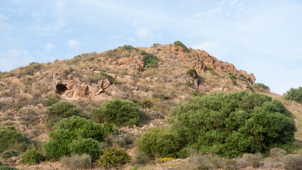 Fototapeta na wymiar Montes rocosos cubierto de arbusto y pino en parque natural del litoral mediterraneo
