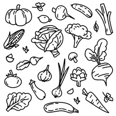 Vector vegetables set. Simple, primitive icon organic collection. Tomato, cabbage, onion, cucumber, broccoli, corn, pumpkin, carrot, greenery black and white, line art hand drawn elements.