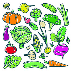 Vector vegetables set. Simple, primitive vegan icon, bio organic collection. Tomato, cabbage, onion, cucumber, broccoli, corn, pumpkin, carrot, greenery colorful hand drawn doodle elements.