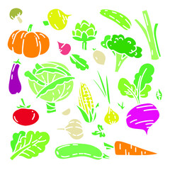 Vector vegetables set. Simple, primitive icon organic collection. Tomato, cabbage, onion, cucumber, broccoli, corn, pumpkin, carrot, greenery colorful hand drawn elements.