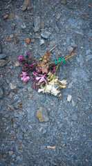 Ramillete de adelfas marchitas sobre el suelo