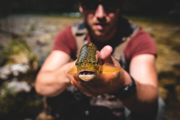 Frische Bachforelle beim Fliegenfischen gefangen	
