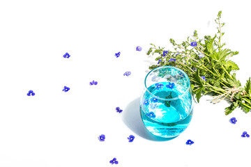 Cold tonic water and blue forget me not flowers bouquet on trendy stand isolated on white background