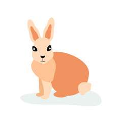 The hare sits sideways and looks ahead