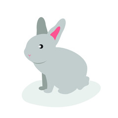 Gray rabbit sits and looks ahead