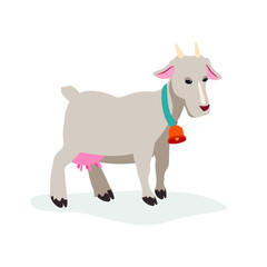 A goat with a bell stands on its hooves