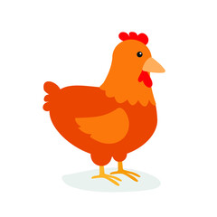 The chicken stands on its feet