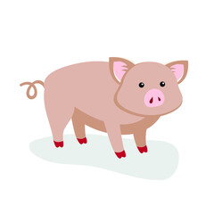 Pink gray piglet stands on its paws
