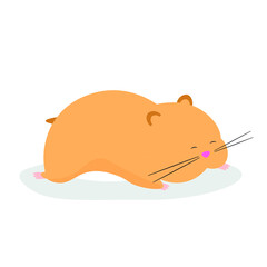 Little hamster sleeping on his stomach