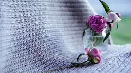 Vase with beautiful peony buds flowers on the knitted background
