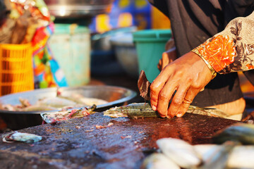 Cutting fish into small pieces, Mirkarwada Jetty, Ratnagiri, Maharashtra, India
