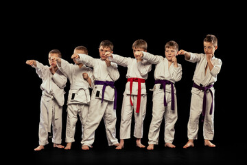 Group portrait of preschool age boys, beginner karate fighters in white doboks posing like team...