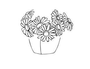 Vector bouquet of daisies in a transparent vase.