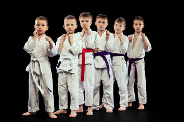 Group portrait of preschool age boys, beginner karate fighters in white doboks posing like team...