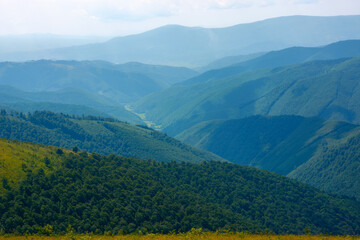 summer landscape in mountains. view in to the distant green valley. grassy meadows and forested hills. sunny weather