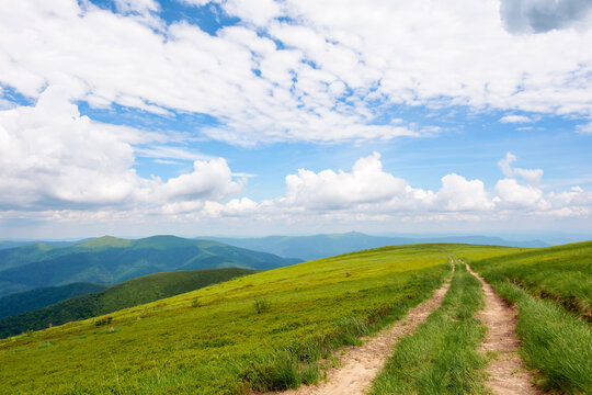 country road through grassy meadow. mountain landscape in summertime. fluffy cumulus clouds on the sky. vacation season and summer adventures in carpathians