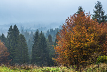 Cloudy and foggy autumn mountains scene. Peaceful picturesque traveling, seasonal, nature and countryside beauty concept scene. Carpathian Mountains, Ukraine.