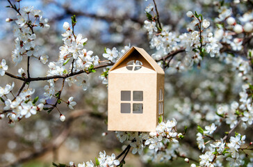 symbol of the house among the white cherry blossoms
