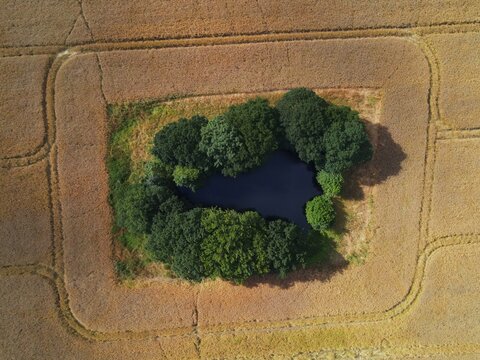Isolated lake in field