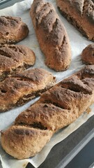 Making homemade bread in the home oven.