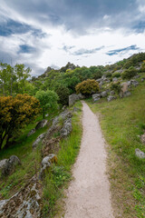 Naklejka na ściany i meble Walking through the Sierra de La Cabrera, Madrid, Spain