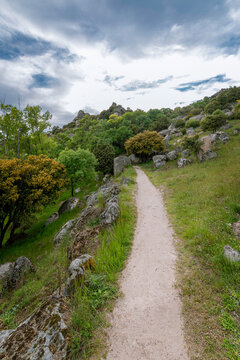 Walking through the Sierra de La Cabrera, Madrid, Spain