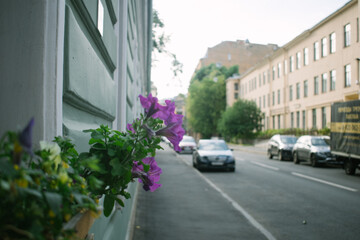 Flowers on the street