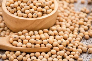 Soybeans in a bowl