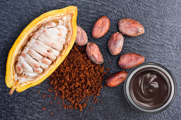 Fresh cocoa fruit, cocoa powder 