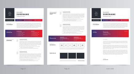 Professional Resume/CV and Cover Letter Template