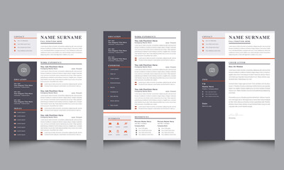 Infographic Resume Template, Professional CV Layout and Cover Letter  Vector Design