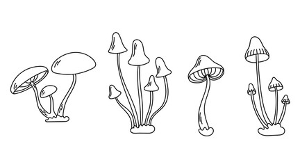 Vector set with inedible mushrooms. Outline illustration.