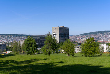 Fototapeta na wymiar Apple trees with meadow and hospital buildings of Triemli Hospital at City of Zürich on a sunny spring day. Photo taken May 18th, 2022, Zurich, Switzerland.