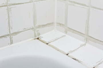 Rental damage concept: filthy tiles above the bath tub with black mold growing on calcifications on...