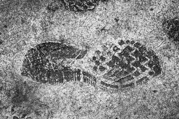 Various raised marks of footprints of different shoes on fresh concrete