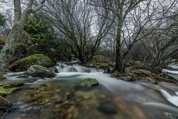 Fototapeta na wymiar Upper basin of the Manzanares river in the Pedriza regional park, Madrid. 