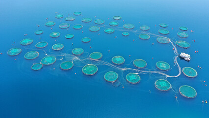 Aerial drone photo of sea bass and sea bream fishery or fish farming unit in Mediterranean calm deep blue sea