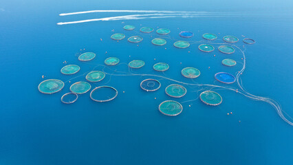 Aerial drone photo of sea bass and sea bream fishery or fish farming unit in Mediterranean calm...