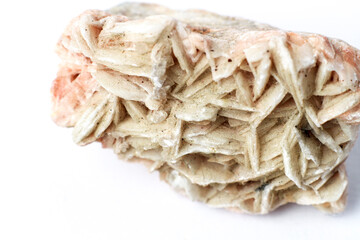 Macro photography of Desert Rose on white background