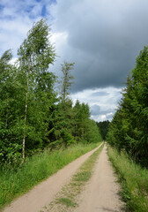 Düstere Aussicht beim Waldspaziergang auf den schwarzen Wolkenhimmel