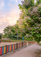 Spring sunset in the playground, Parque Rodriguez Sagún, Madrid