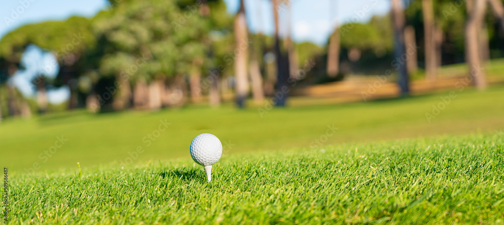 Wall mural golf ball in starting position to hit. copy space