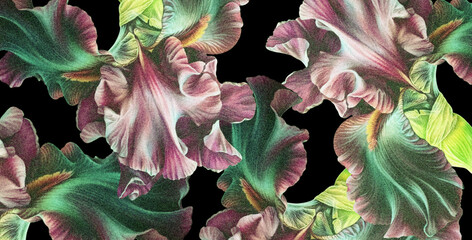 Tekstura z motywem kwiatów irysa w odcieniach zieleni, różu i żółci na czarnym tle. Grafika cyfrowa przeznaczona do druku na tkaninie, papierze, płytkach ceramicznych oraz jako fototapeta, obraz.