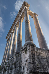 Np.790:The Roman Forum was home to some of the oldest and most important buildings in the ancient city. What you see today is a mass of ruins, including sanctuaries and temple, Rome, Italy
