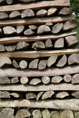 Forest Firewood is neatly stacked in a woodpile outside. Close-up. Front view. Background.