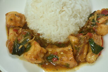 spicy stir fried bass fish with white finger root and chili with rice on plate