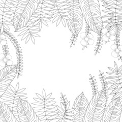 Coloring book page with frame from the plants. Cute botanical art.
