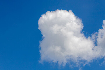 Beautiful white fluffy cloud floating in blue sky in sunny day, Cumulus are clouds which have flat bases and are often described as puffy, Horizon nature background with free copy space.